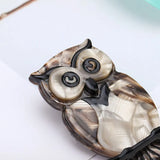 Acrylic Owl Brooch Pins Resin Bird Brooches for Women Animal Broche