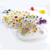 Oval Artist Paint Palette Casting Mold for Resin Art DIY