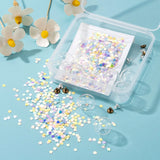 Clear Glass Bottle Wind Chime Pendant Making Kit