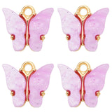 Butterfly Pendant Earrings Colorful Acrylic Insect Golden Charm