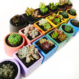 Square Round Resin Plant Mold for DIY Art Crafts