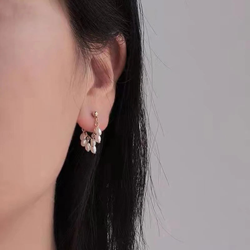 Natural Pearl Earrings Filled Brincos Not Fade Vintage Jewelry For Women