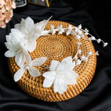 Crystal Wedding Tiara Barettes with Earrings