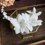 Crystal Wedding Tiara Barettes with Earrings