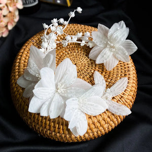 Crystal Wedding Tiara Barettes with Earrings