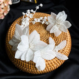Crystal Wedding Tiara Barettes with Earrings