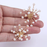 Freshwater Pearl Flower Earrings for Women Party Jewelry
