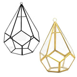 Glass Terrarium Wall Tears Shape Air Plant Holder
