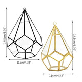 Glass Terrarium Wall Tears Shape Air Plant Holder