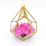 Glass Terrarium Wall Tears Shape Air Plant Holder