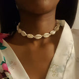 Hawaiian Style Shell Collarbone Necklace