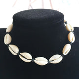 Hawaiian Style Shell Collarbone Necklace