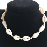 Hawaiian Style Shell Collarbone Necklace