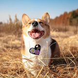Pet Dog Tag Crystal Epoxy Resin Mold - DIY Pet Gift