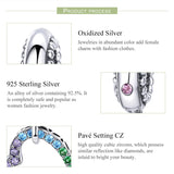 Heart Rainbow Zircon Necklace Pendant 925 Sterling Silver Beads