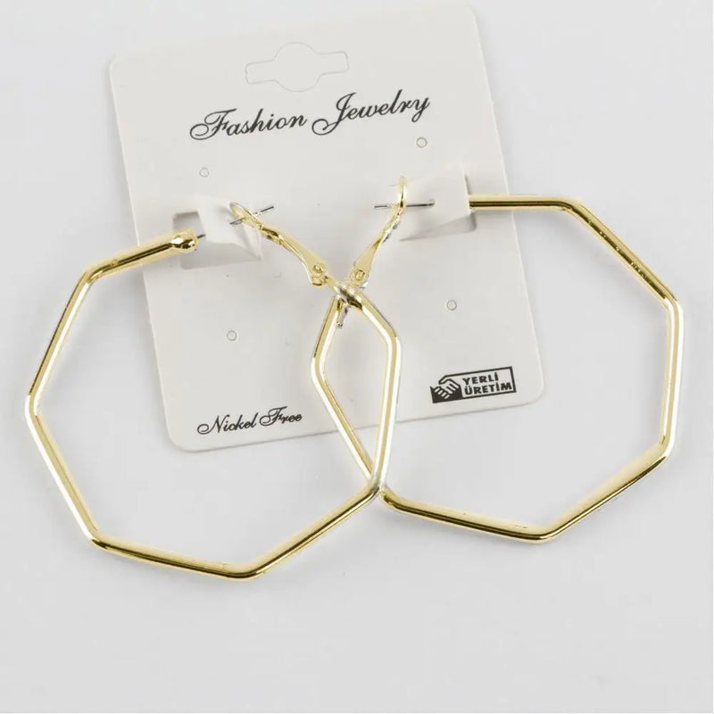 Hexagonal Metal Earrings in Silver