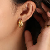 18K Plated Stainless Steel Hoop Earrings