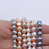 Natural Freshwater Pearl Loose Beads Strand for Jewelry