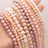 Natural Freshwater Pearl Bead Round Beaded Jewelry Making