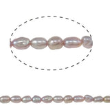 Natural Freshwater Pearl Beads 2-3mm Purple Rice Loose Beads DIY Jewelry Making