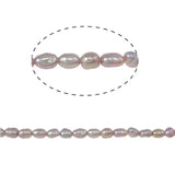 Natural Freshwater Pearl Beads 2-3mm Purple Rice Loose Beads DIY Jewelry Making
