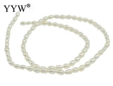 Natural Freshwater Pearl Beads Rice Pearl Loose Beads
