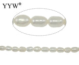 Natural Freshwater Pearl Beads Rice Pearl Loose Beads
