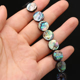 5pcs Abalone Shell Coin Beads for Jewelry Making DIY Charms Necklace Bracelet