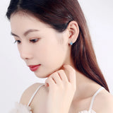 925 Silver CZ Dolphin Footprint Hoop Earrings for Women