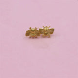 Elegant Kate Brincos Earrings Set for Women