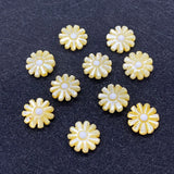 10 Pcs Daisy Pearl Shell Beads for DIY Jewelry Making