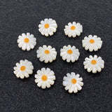 10 Pcs Daisy Pearl Shell Beads for DIY Jewelry Making