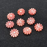 10 Pcs Daisy Pearl Shell Beads for DIY Jewelry Making