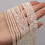 Natural Freshwater Pearl Baroque Shaped Beads DIY Jewelry Gift