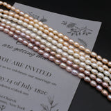 Natural Freshwater Pearl Rice Beads for DIY Charm Jewelry Making