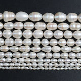 Natural Freshwater Pearl Beads 3-4mm/12-13mm