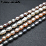 High Natural Pearl Colors Tube Rice Shape Loose Beads Women Accessories