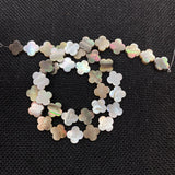 Natural Shell Loose Beads Strand Flower Shape Clover DIY
