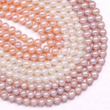 Natural Freshwater Cultured Pearls Beads for Jewelry Making