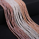 Rice Shape Pearl Beads 3.5-3.8mm Freshwater Pearls for Jewelry Making