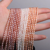 Rice Shape Pearl Beads 3.5-3.8mm Freshwater Pearls for Jewelry Making