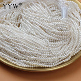 2mm Rice Shape Punch Sea Shell Beads for DIY Jewelry Making