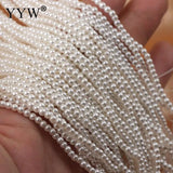 2mm Rice Shape Punch Sea Shell Beads for DIY Jewelry Making