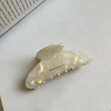 Acetate Large Plate Hair Claws Hair Accessories Women Back Head Clip Boutique