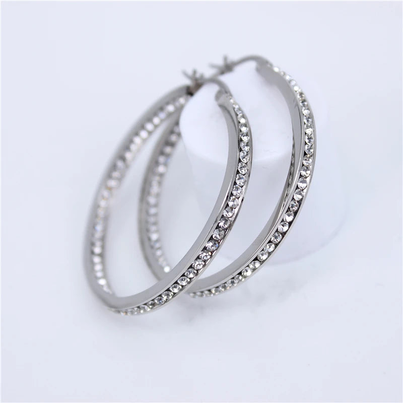 Crystal Silver Stainless Steel Earrings Female Accessories LH487