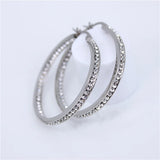 Crystal Silver Stainless Steel Earrings Female Accessories LH487
