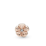 Spring Clover Charm Jewelry Box Necklace