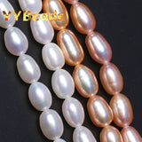 Natural Freshwater Pearls Rice Shape Loose Beads for DIY Jewelry