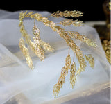 img_19150054