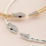Hip Hop Punk Snake Necklace for Women Torques